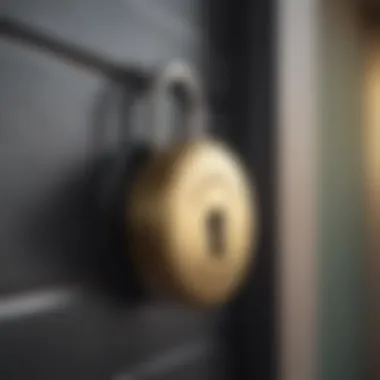 An illustration of a secure lock symbolizing financial security