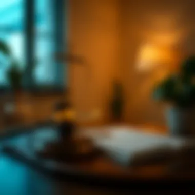 Legal Requirements for Chapter 11 Bankruptcy in Florida Visual representation of legal requirements for filing Chapter 11