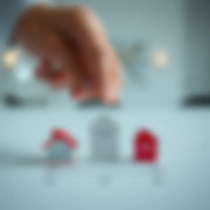Exploring Mortgage Options An illustration of different mortgage icons representing varying options