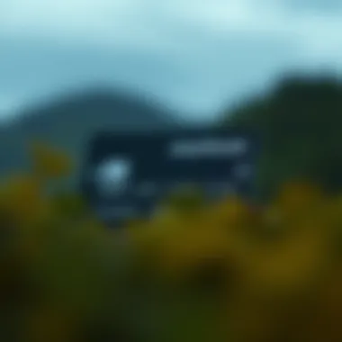 Navigating the Landscape of Transfer Credit Cards for Fair Credit Summary