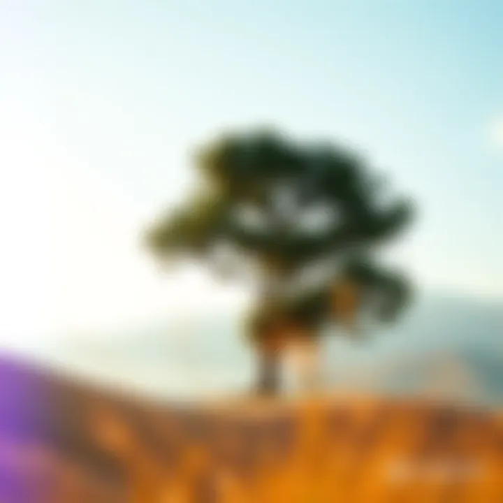 A serene landscape representing peace of mind amidst financial decisions