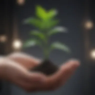 A hand holding a plant symbolizing investment growth