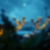 Financial Planning for Securing a Soft Loan Illustration depicting financial planning for soft loans