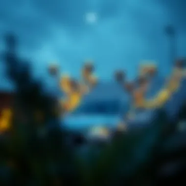 Financial Planning for Securing a Soft Loan Illustration depicting financial planning for soft loans