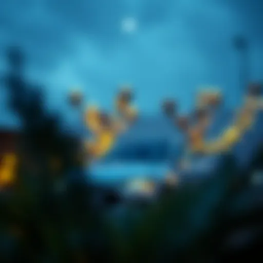 Financial Planning for Securing a Soft Loan Illustration depicting financial planning for soft loans