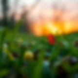 Visual representation of credit score concepts