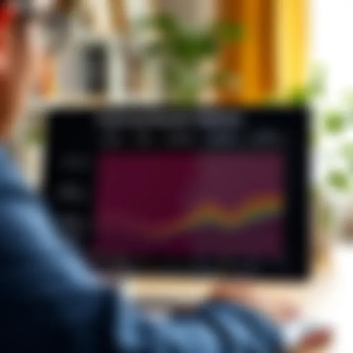 Chart displaying various repayment options