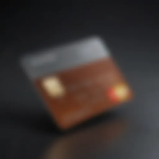 A visual representation of a starter credit card with essential features highlighted.